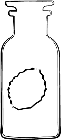 Apricot Seed - Illustration (244x506)