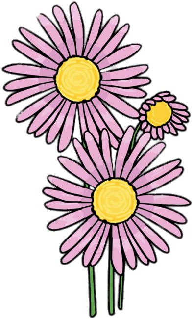 Pink Aster Clipart - Escaleras De Caracol En Planta (665x665)