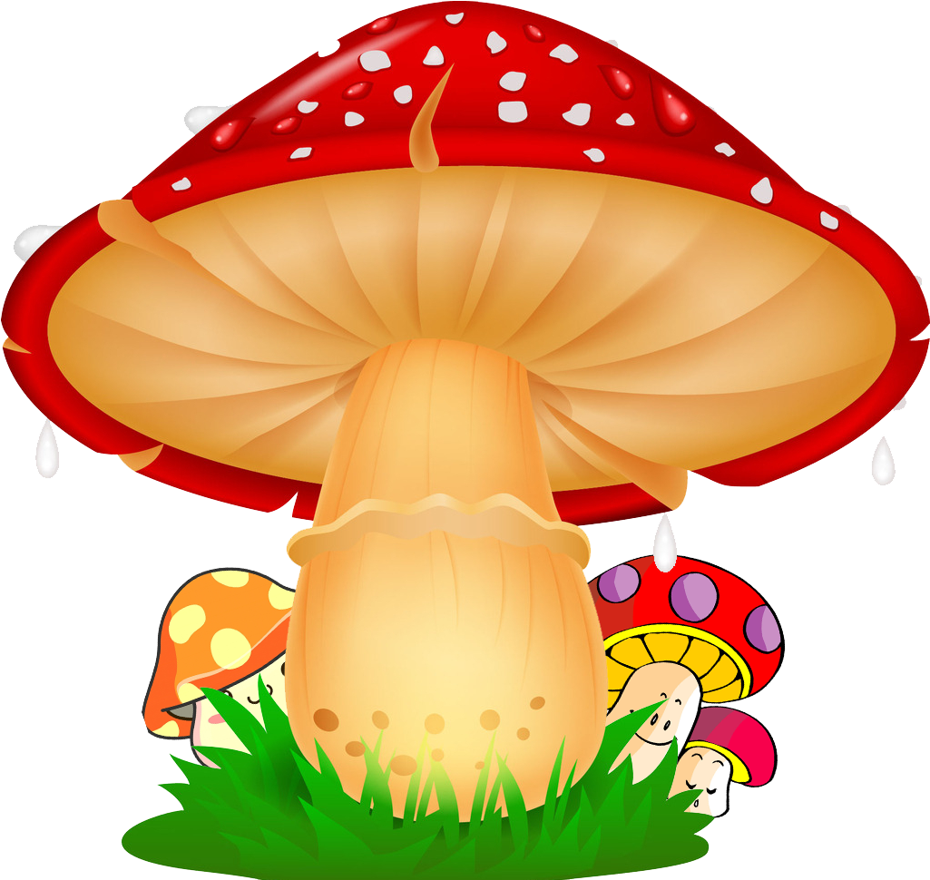 Mushroom Cartoon Illustration - Desenho Colorido De Cogumelo (1042x969)