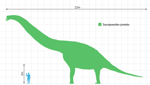 This Image Rendered As Png In Other Widths - 50 Feet To Scale (500x283)