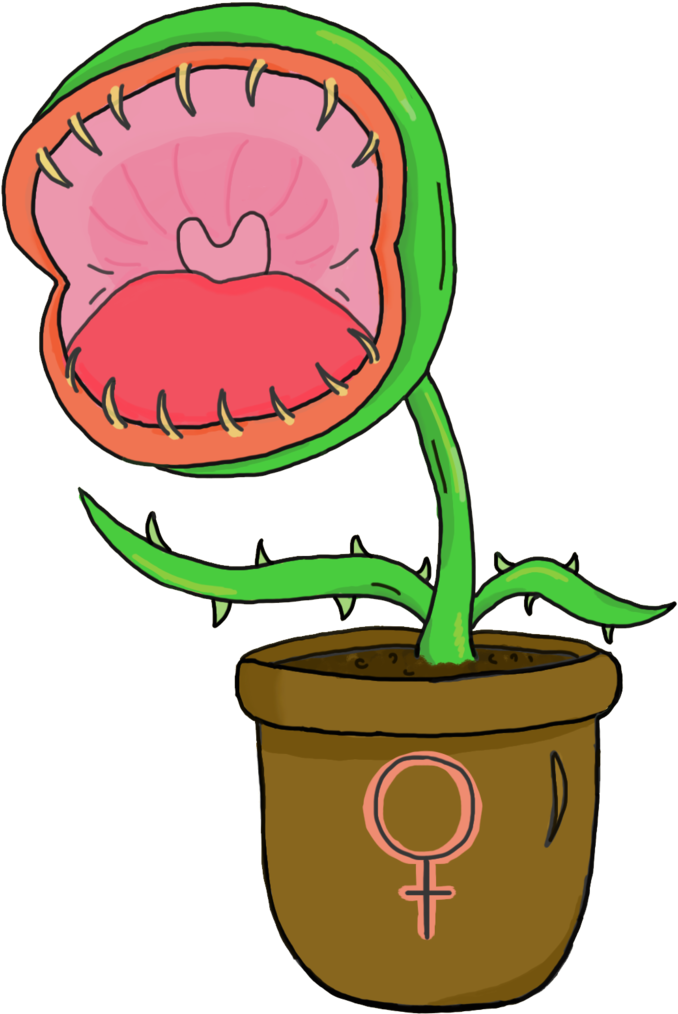 Venus Fly Trap Png - Venus Fly Trap Png (1000x1154)