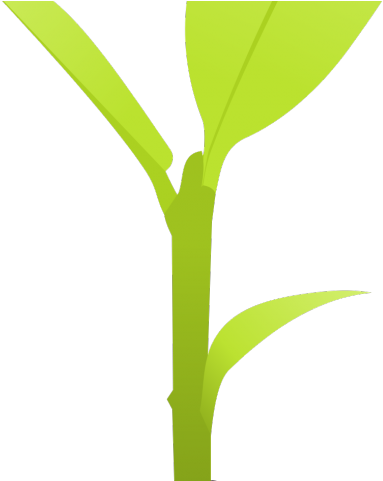 Plant Clipart Small Plant - Grass (640x480)