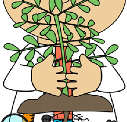 Plant Clipart Lab - Scientist (640x480)