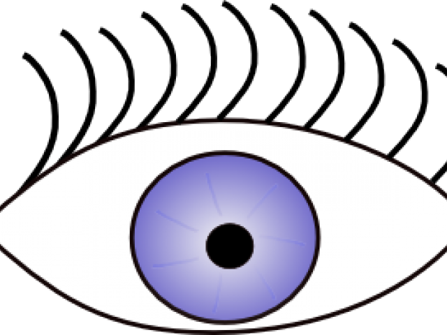 Eyeball Clipart See Sense - Eye Clip Art (640x480)
