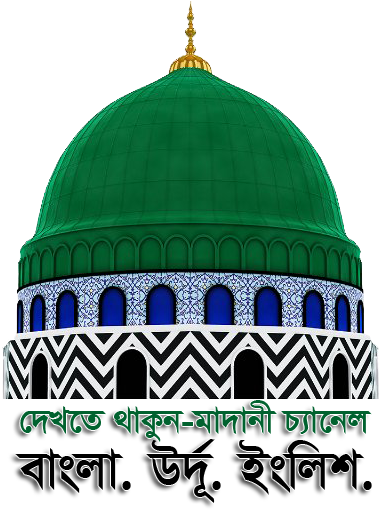 Keep Watching Madani Channel - Madani Channel Logo Png (392x512)