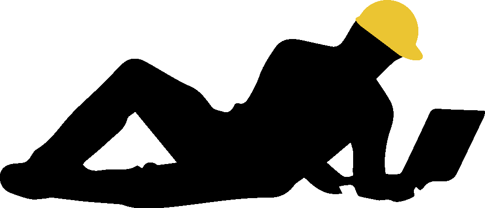 Conifer Cone (982x421)