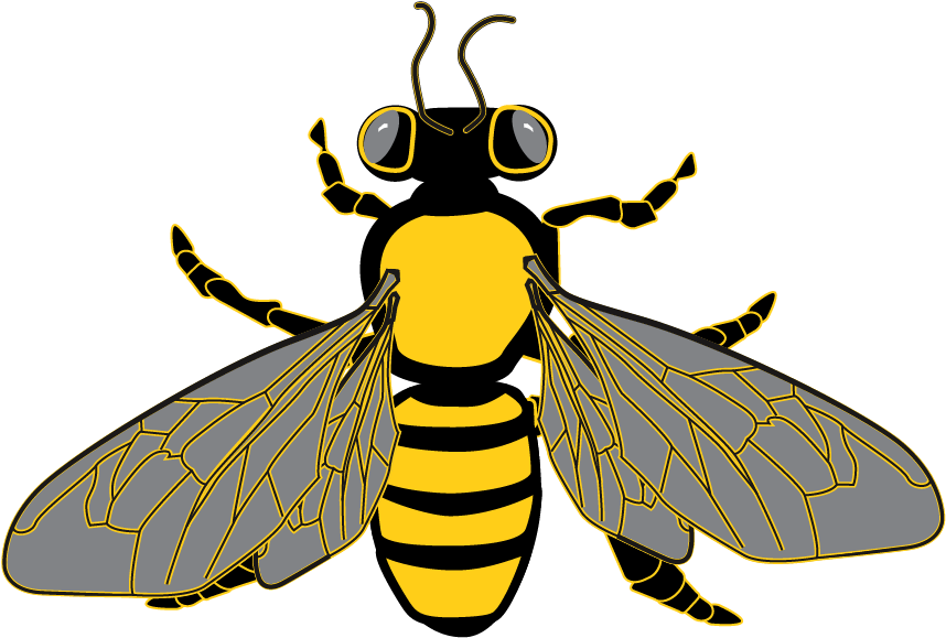 Bee Graphic From Clipart Package - Bee Transparent Background Clipart (900x900)
