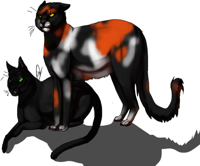 Warrior Cats Hollyleaf And Sol Download - Warrior Cats Sol And Hollyleaf (894x894)