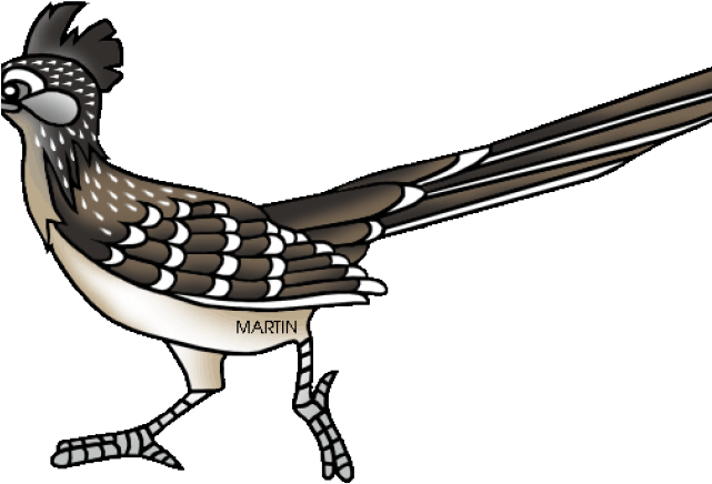 Bird Clipart Roadrunner - Clip Art (640x480)