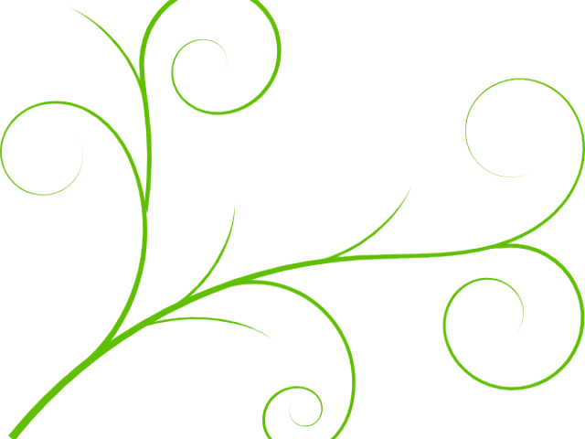 Line Clipart Vine - Portable Network Graphics (640x480)