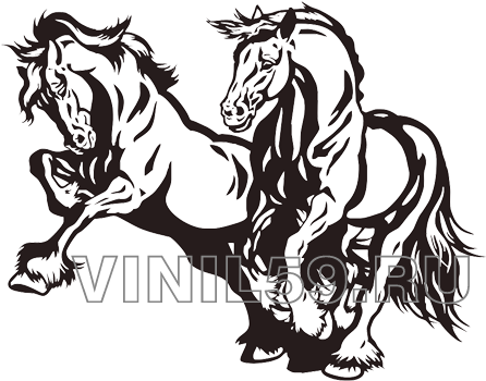 Интерьерная Наклейка - Caballos De Blanco Y Negro (445x440)