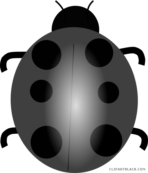 Wonderful Ladybug Animal Free Black White Clipart Images - Ladybug (510x595)