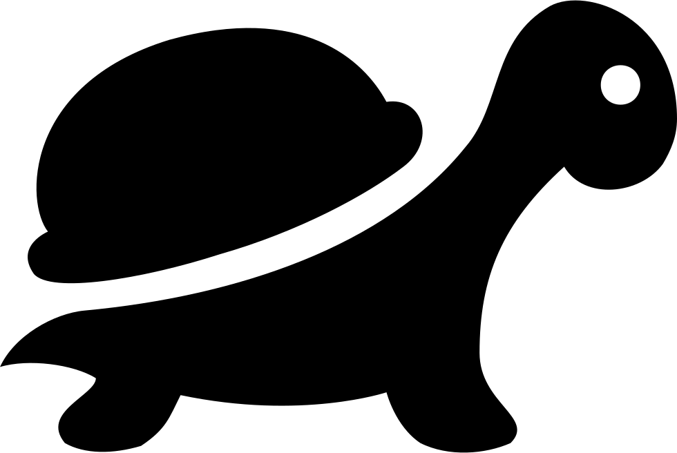 Turtle Comments - Reptile (980x656)