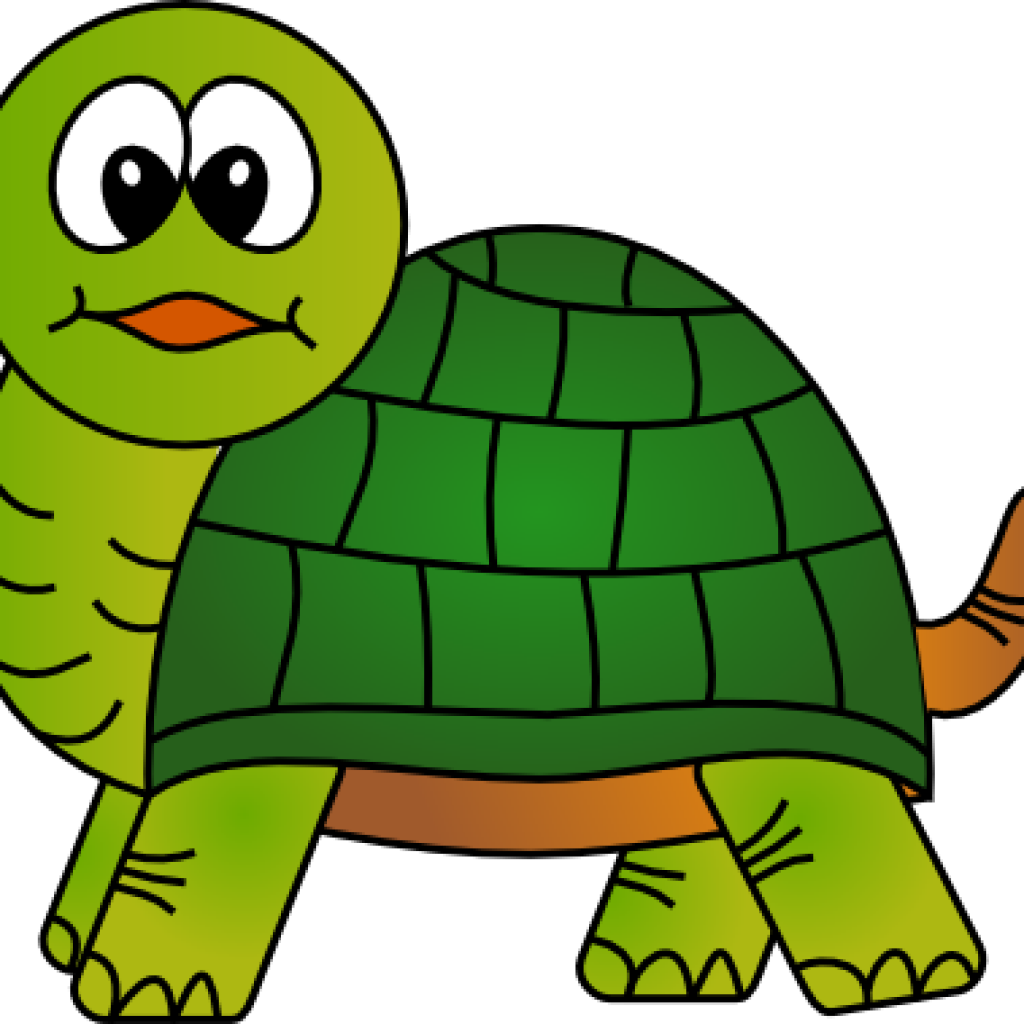 Cute Turtle Clipart Cute Turtle Clip Art Free Clipart - Clip Art Turtle (1024x1024)