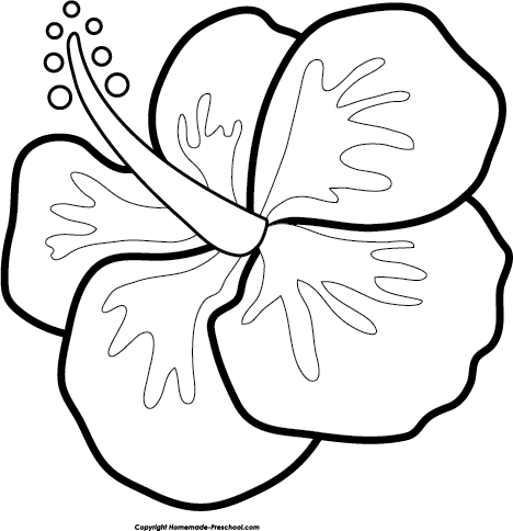 Hibiscus - Clip Art (468x484)