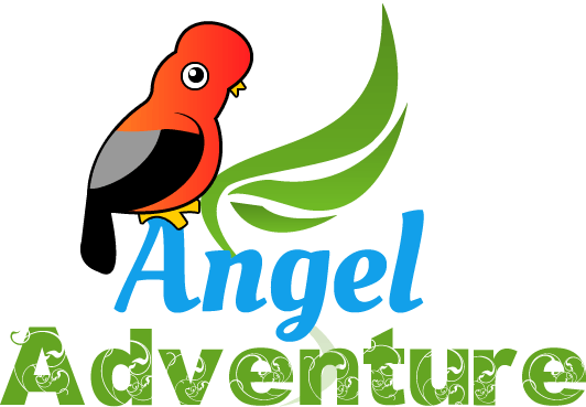 Logo-angeladventure2 - Travel Agency (532x369)