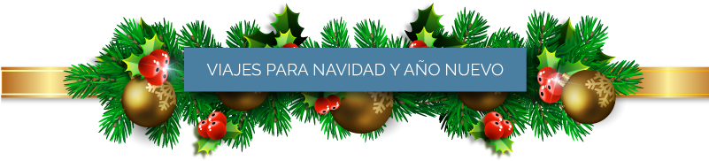 Paquetes Especiales Para Empresas - Cheap Decorative Pillows & Shams Christmas Snowflake (800x253)