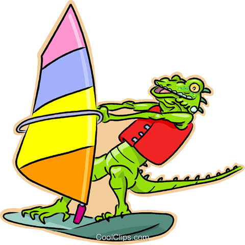 Windsurfing Alligator Royalty Free Vector Clip Art - Iguana Cartoon (709x700)