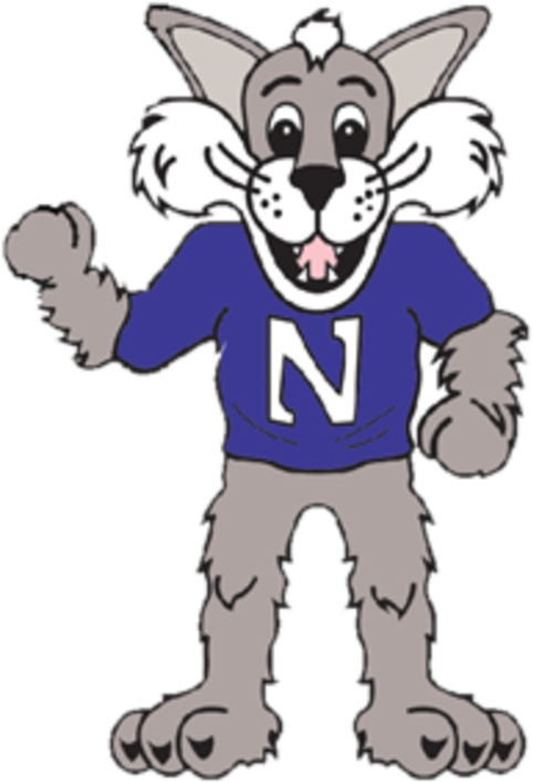 Ask A Cat Fresh U Rh Northwestern Freshu Io High School - Willie The Wildcat Northwestern (625x750)