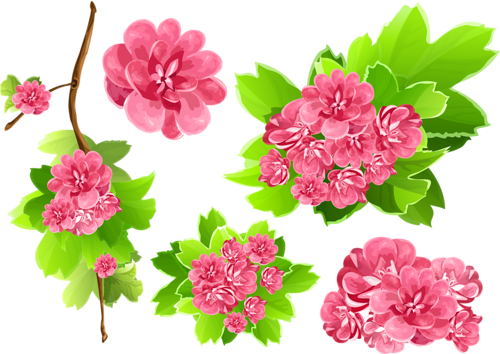 Pink Flowers Vector Background - Vector Flower Free Download (500x354)