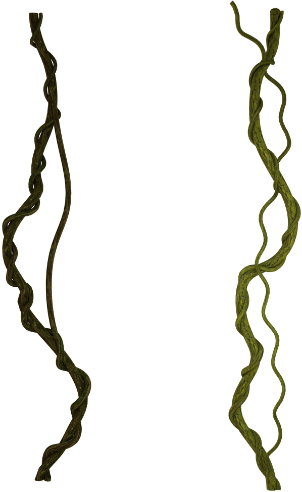 Vine Photo Manipulation Clip Art - Portable Network Graphics (1000x1000)