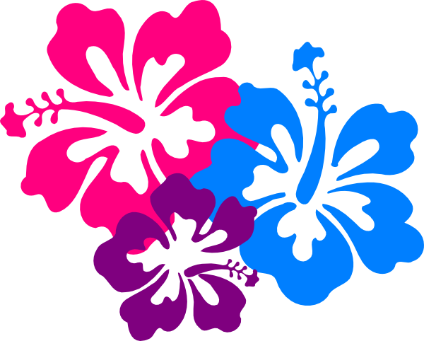 Hawaiian Flower Clipart & Hawaiian Flower Clip Art - Hibiscus Clip Art (600x482)