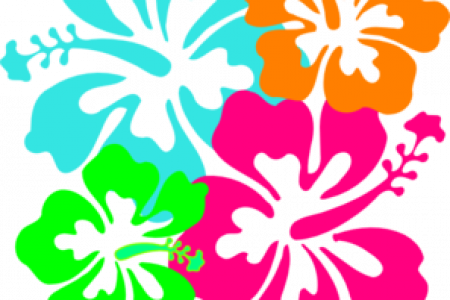 Pin Free Hawaiian Clip Art Backgrounds - Hawaii Flower (450x300)