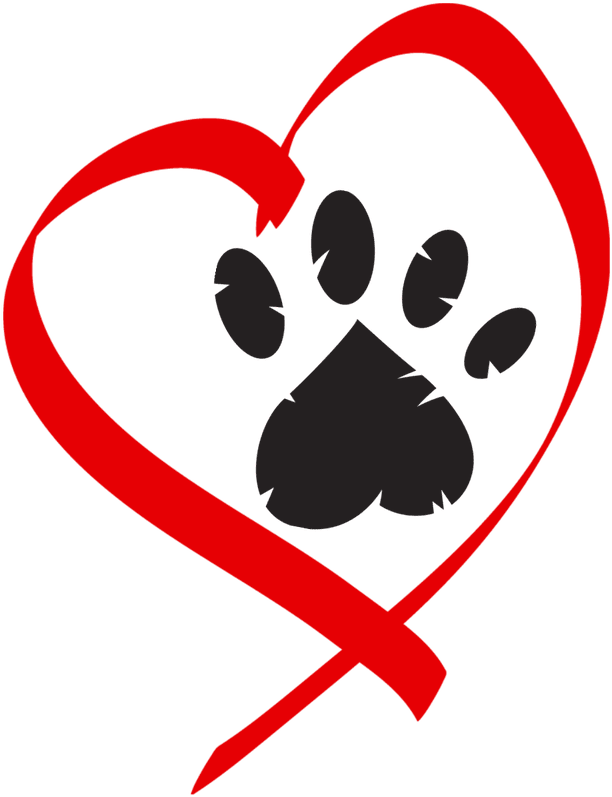 Picture - Rescue One Springfield Mo (800x800)