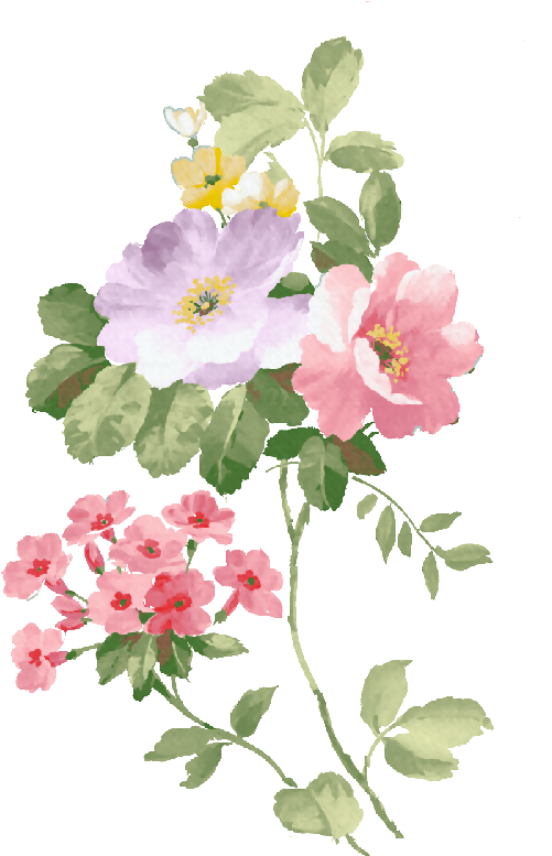 Acuarela De Flores Pintura A La Acuarela - Watercolour Free Flower (500x799)