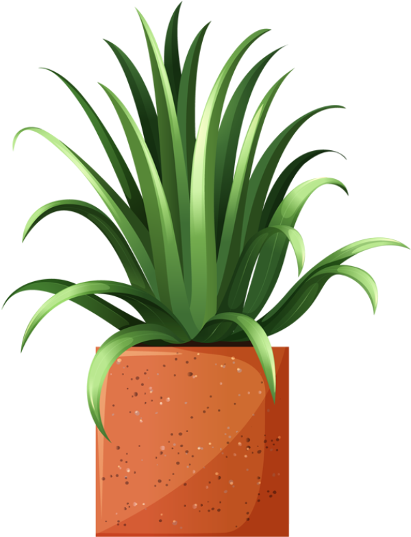 Clip Art Of Beautiful Plants For The Spring Garden - Potted Bushes Clipart Png (640x786)
