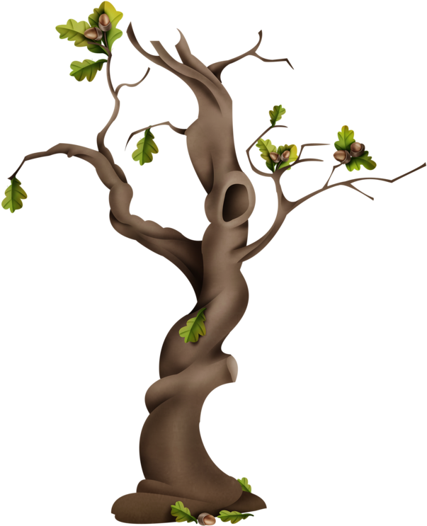 Diseño Floral Bouquet De Flores De La Rama De Árbol - Cartoon (641x800)