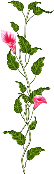 0 51846 12470abf Orig - Psalm 103 9 10 (200x647)