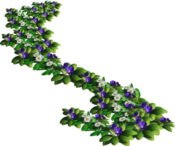 Portable Network Graphics (600x501)