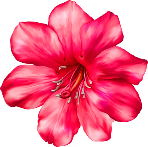 Plumeria Stencil Png - Png Blumen (500x494)