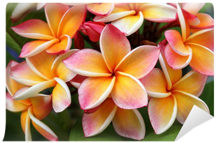 Openlayers 3: Beginner's Guide (400x400)