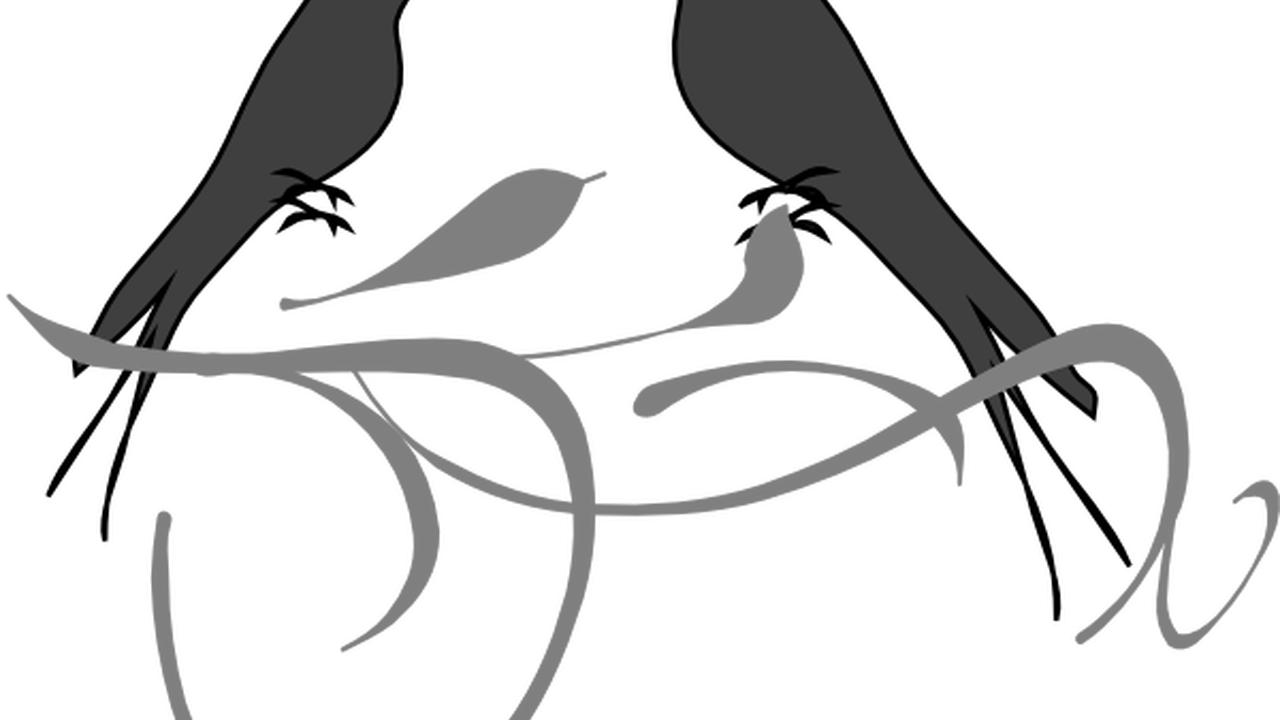 Love Birds Clip Art At Clkercom Vector Clip Art Online, - Pink Love Bird Clip Art (1280x720)