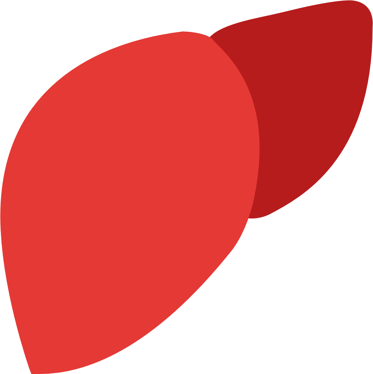 Download Foundations Of - Liver Icon (1600x1600)