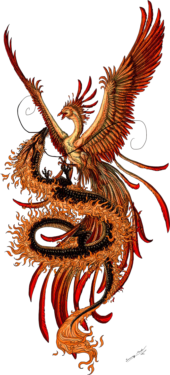 Phoenix Chinese Dragon Fenghuang Tattoo - Dragon Phoenix (736x1588)