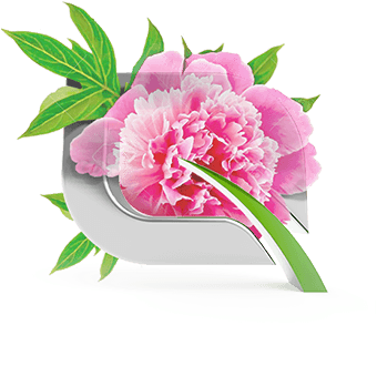 Peony Extract Posebno Se Preporučuje Za Osetljivu Kožu, - Common Peony (458x413)