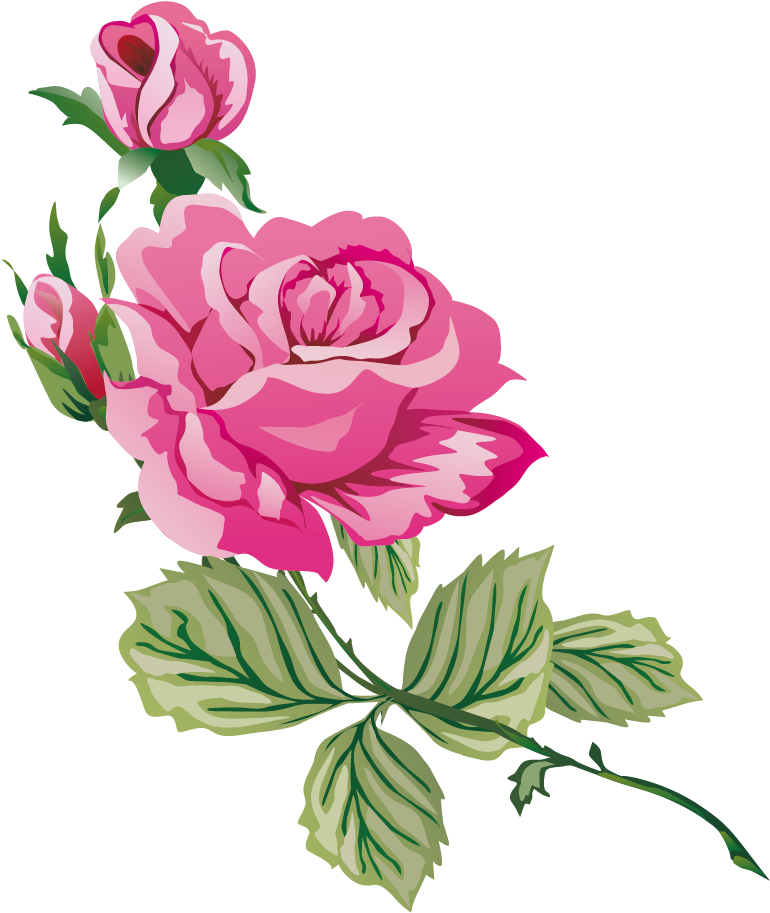 Garden Roses Cabbage Rose Blue Rose Clip Art - Cream Floral Set 90th Birthday Invitation | 90th Birthday (782x919)