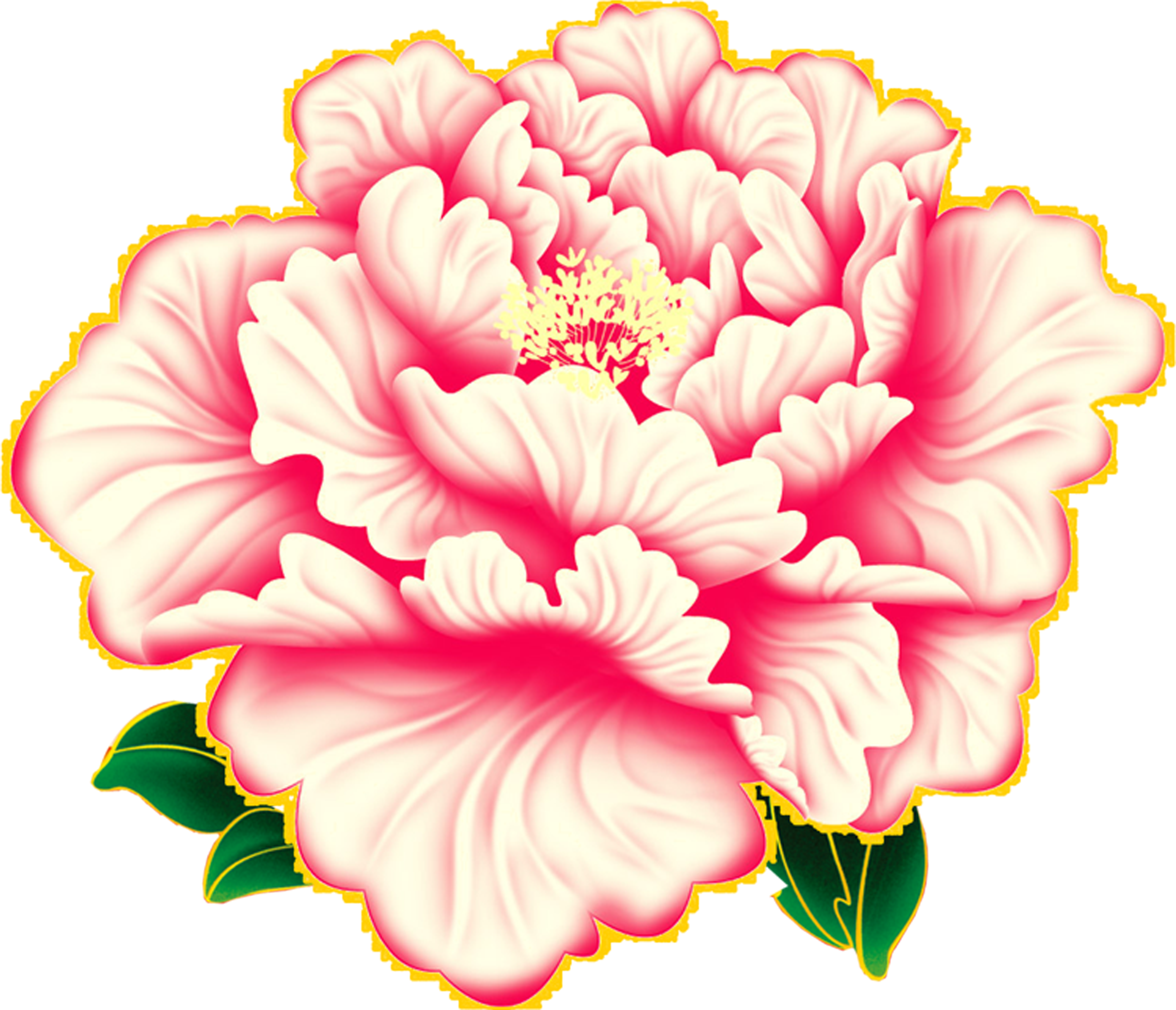 Moutan Peony Flower Sina Weibo Avatar - Chinese New Year Peony (7874x3937)