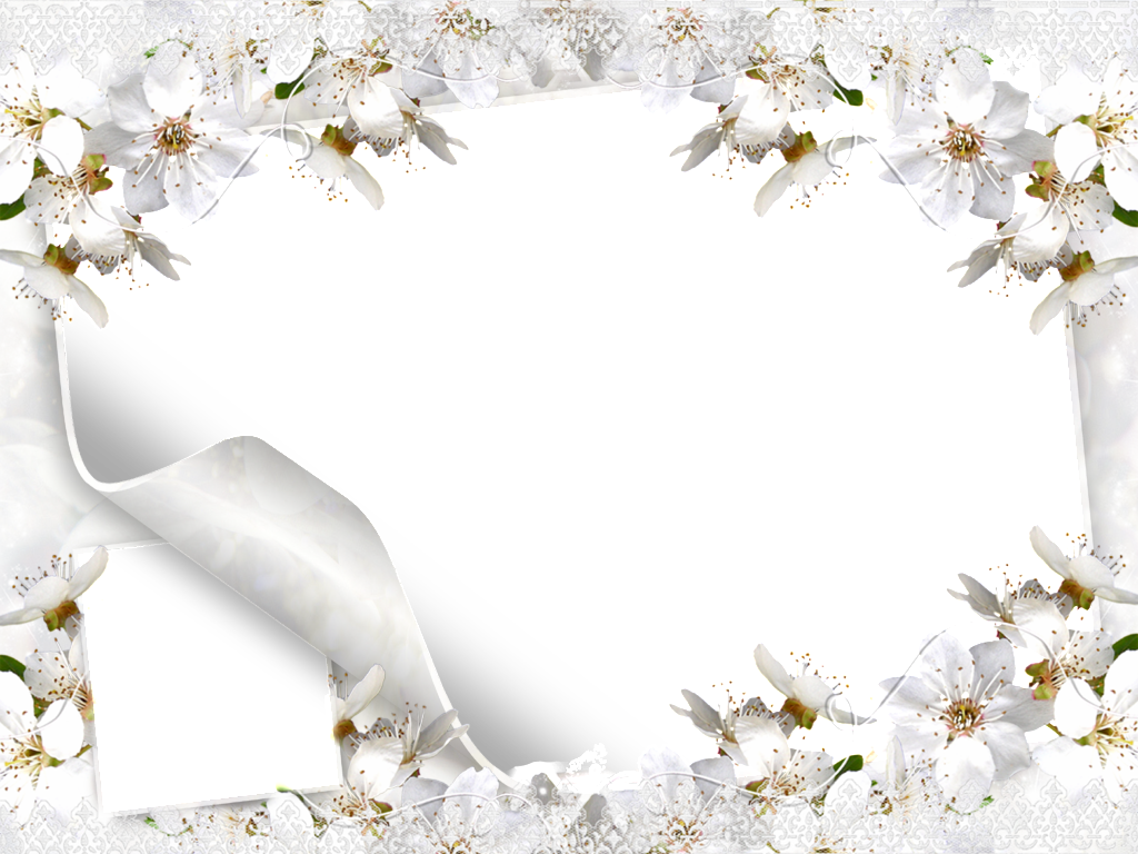 Wedding Microsoft Powerpoint Wallpaper - White Flower Frame Png (1024x768)