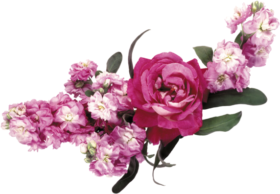 Flower Garden Roses Wreath - Яркие Цветы Пнг (600x421)