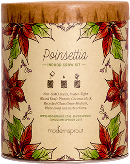 Poinsettia Waxed Planter Grow Kit - Poinsettia (400x400)