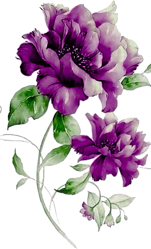 Flower Purple Floral Design - ดอกไม้ สี ม่วง (510x906)