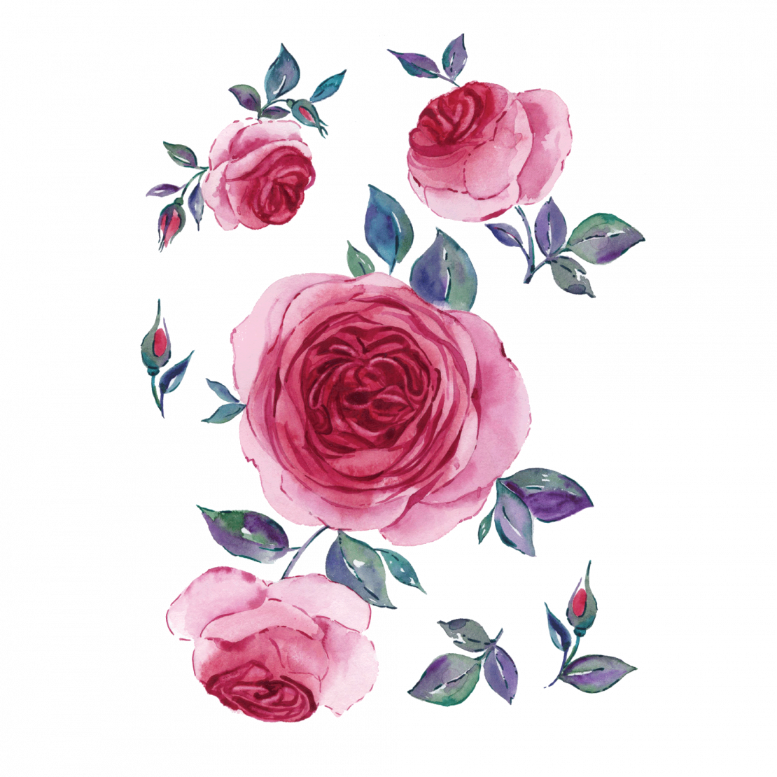 Elegant Peony - Elegant Peony (1110x1110)