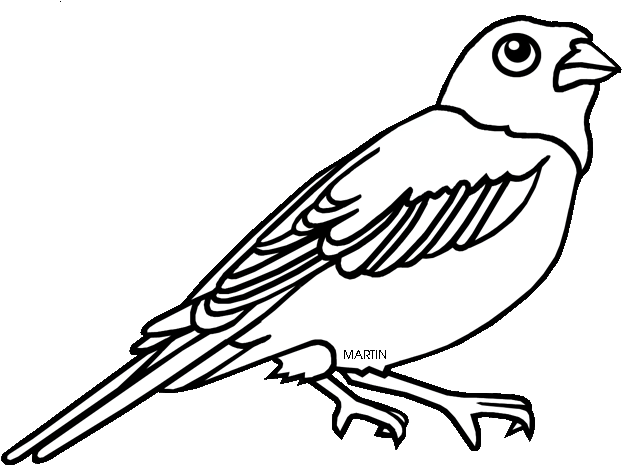 Colorado State Bird Coloring Page 6 By Kari - Coloring Book (648x490)