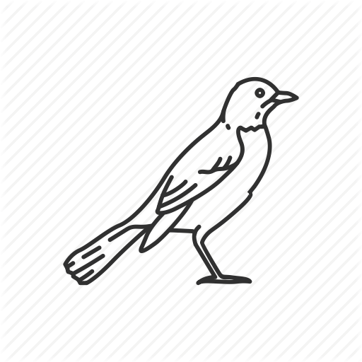 Related Categories - State Bird Of Wisconsin To Draw (512x512)