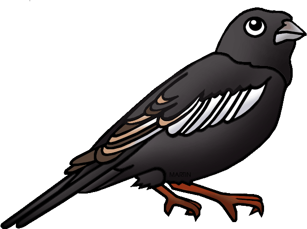 Colorado State Bird Lark Bunting - Colorado State Bird Lark Bunting (648x490)