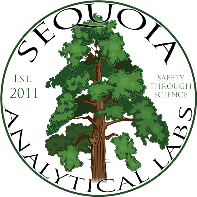 We Stand By Clean Cannabis - Sequoia Tree Clip Art (1000x1011)